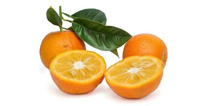 Mayella - Sweet Orange Pure Essential Oil